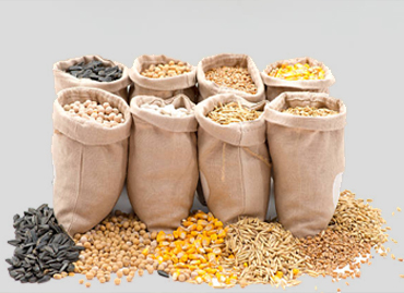 Корма для животных