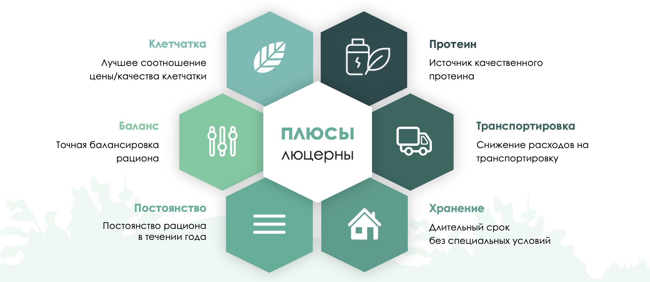 Преимущества люцерны