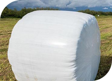 Сенаж люцерны